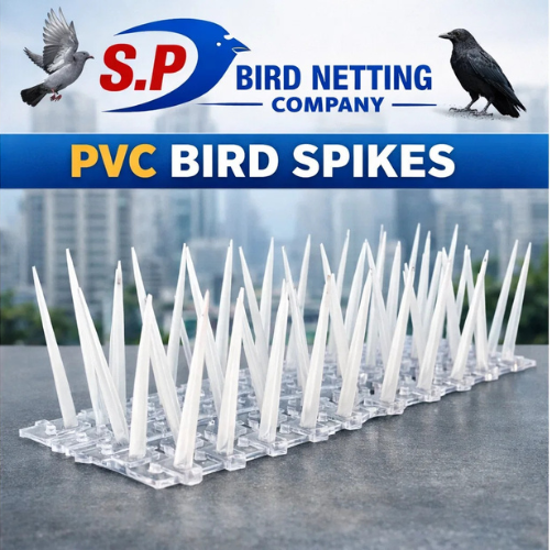 S.P.birdsnet